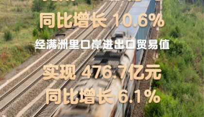 中蒙俄边境行：中俄贸易动脉的活力密码