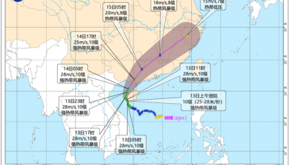 树木倒伏、车辆被砸，台风“蝴蝶”携强降雨影响华南