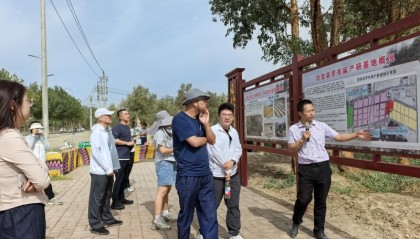 从“戈壁仙草”看防沙治沙的“新疆智慧”