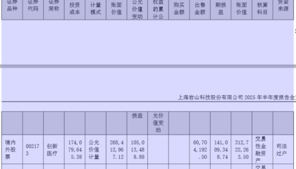 财说| 岩山科技AI业务收入暴跌72%，靠炒股撑起500亿市值？