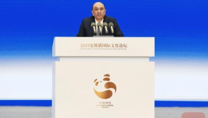 巴基斯坦总统扎尔达里：以艺术架起连通国家、文化与社区的桥梁