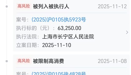 精品咖啡Seesaw Coffee公司经营异常，被执行金额超299万