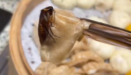 游客在长沙桔子酒店吃出蟑螂，酒店方回应：已在配合调查