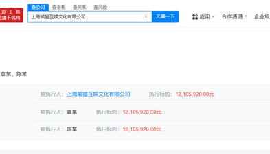 王思聪名下熊猫互娱被执行1210万，此前公司已破产