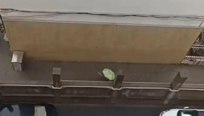 郑州暴雨一男子砸墙泄流隔壁小区，社区：缺口已堵；当地警方已介入