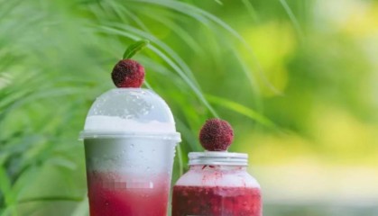 杨梅饮料里会喝到虫子吗？