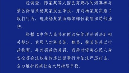 68岁保洁员因劝阻游客不要乱扔烟雾棒被打，警方通报：陈某某、魏某、魏某某被行拘、罚款