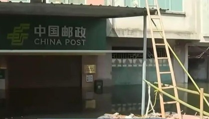 他们在洪水中，搭起去买菜的桥