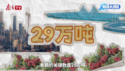 大湾区年产29万吨背后的给“荔”科技｜数说大湾区