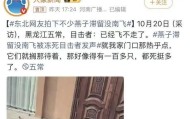 大量燕子滞留,不少冻死街头!它们为啥来不及往南飞?