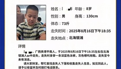 8岁男孩在北海银滩走失已8天，家属焦急发声：还没到海滩，孩子跑进人群中就不见了