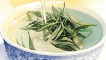 【文化和自然遗产日】漫动时节丨茶：人在草木间