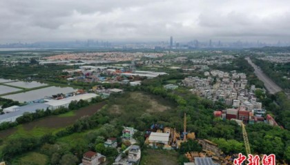 “数”解香港北部财富密码