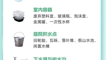 强降雨过后，如何防蚊灭蚊？｜安全贴心话