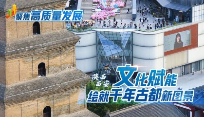 聚焦高质量发展丨陕西西安：文化赋能绘就千年古都新图景
