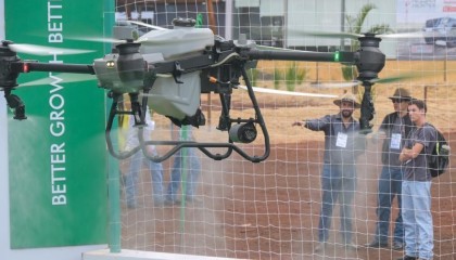 海评面：“‘全球南方’国家加强彼此联系，寻找更多机遇”