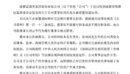 A股“分红大户”富森美董事长被留置