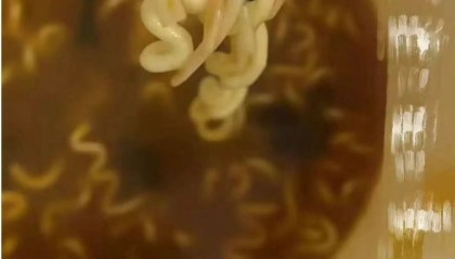 今麦郎方便面被指吃出虫卵，公司回应：正在跟进