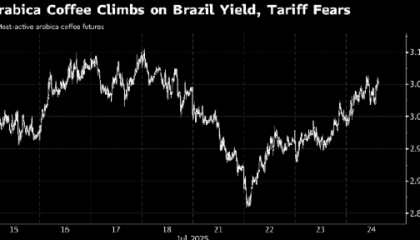 阿拉比卡咖啡价格延续涨势 天气风险加剧供应担忧